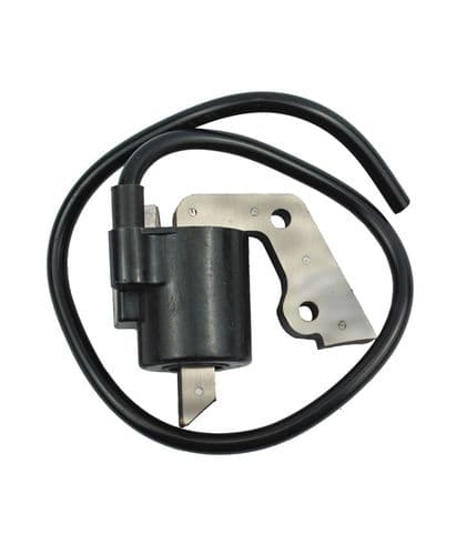 Ignition Spares