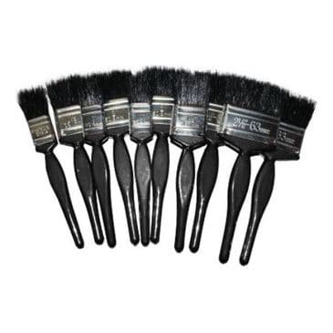 Paint Brushes Budget, Assorted  (Pack of 10)