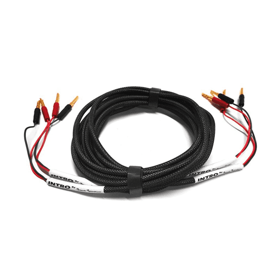Black Rhodium INTRO LS Cables - Pair | Audio Emotion