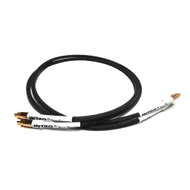 Black Rhodium INTRO RCA Interconnect Cables - 1m Pair