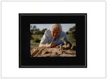 David Attenborough Autograph Photo