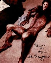 David Naughton Signed Photo - American Werewolf