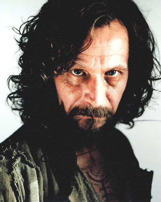HWC Trading FR A4 Gary Oldman Harry Potter Sirius Black Gifts Printed Signed Autograph Picture for Movie Memorabilia Fans A4 Framed 