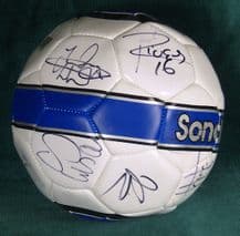 Sunderland AFC 2010/11 Squad Autograph Signed Football